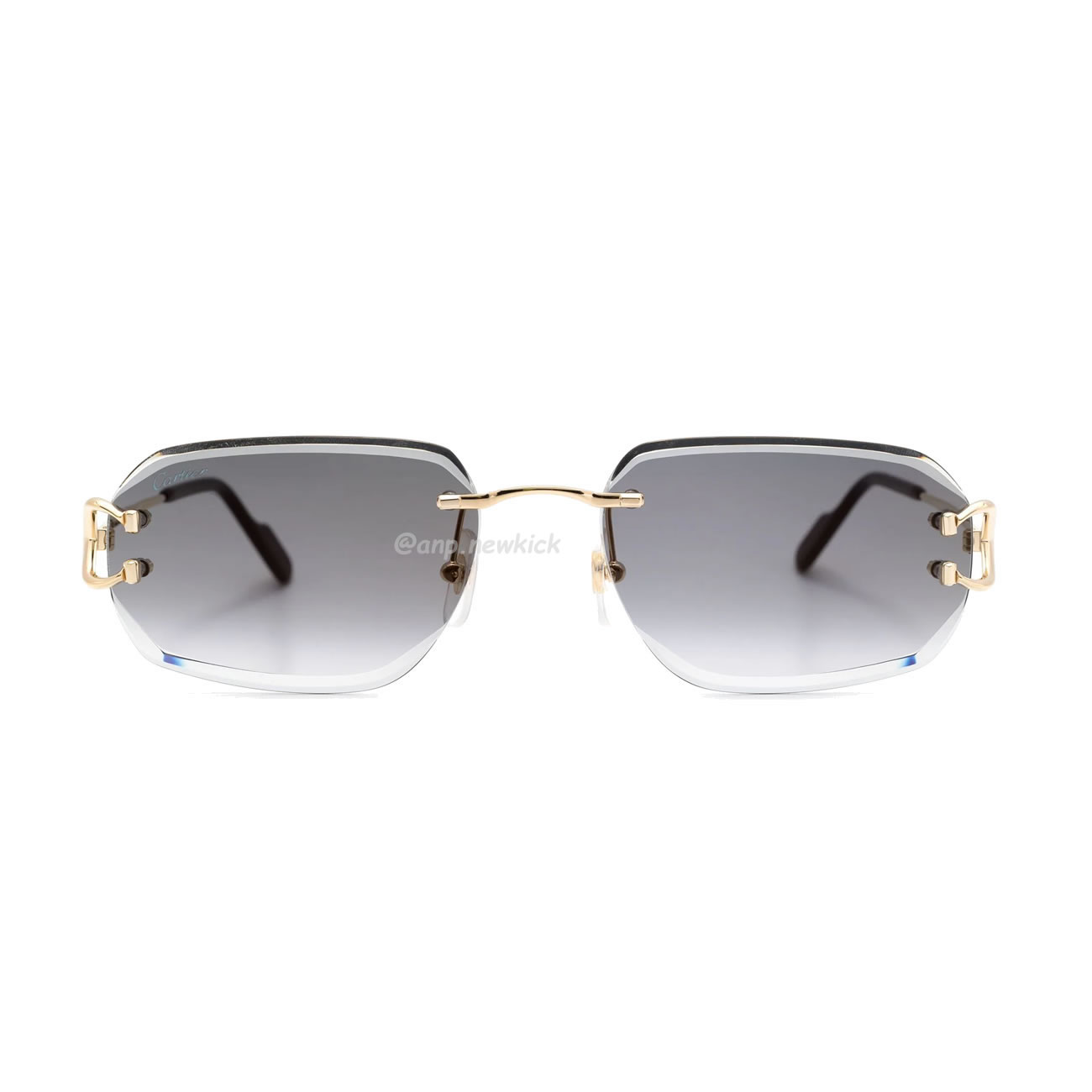 Cartier Eyewear Rimless Rectangle Frame Sunglasses (6) - www.newkick.vip